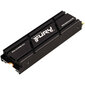 Kingston Fury Renegade, 500 GB M.2 hind ja info | Sisemised kõvakettad (HDD, SSD, Hybrid) | kaup24.ee