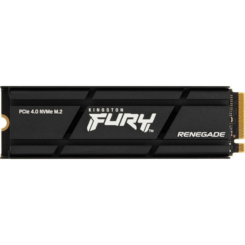 Kingston Fury Renegade, 500 GB M.2 hind ja info | Sisemised kõvakettad (HDD, SSD, Hybrid) | kaup24.ee