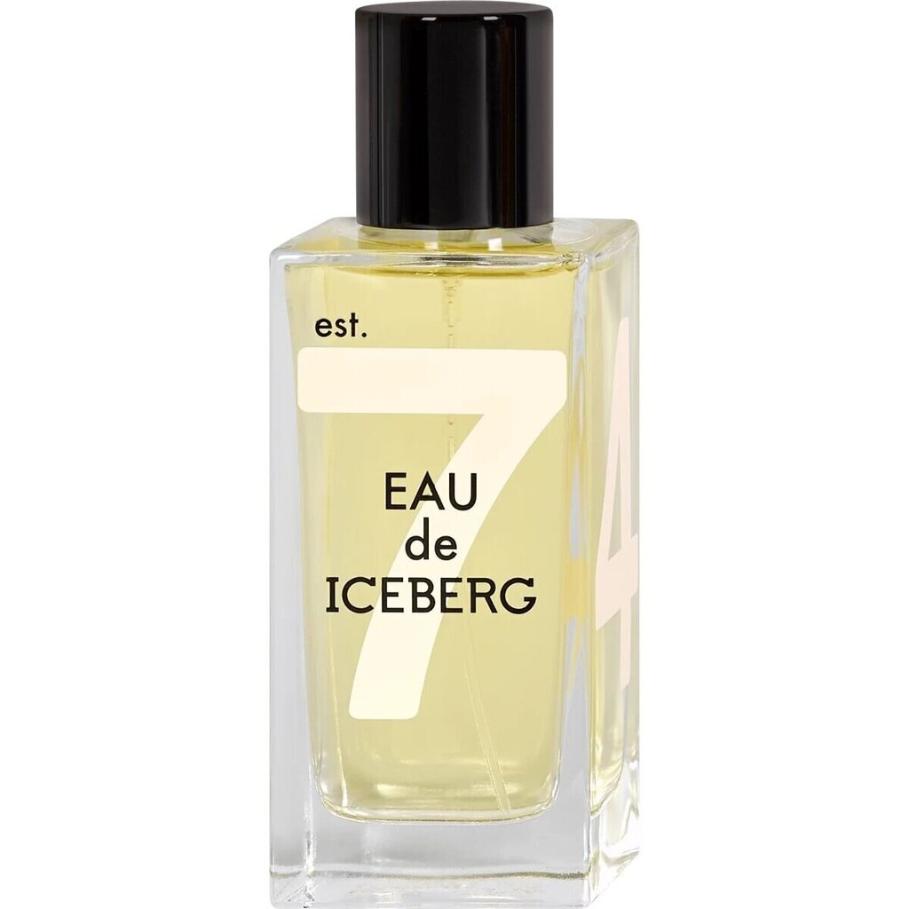 Naiste parfümeeria Iceberg EDT Eau De Iceberg For Her (100 ml) hind ja info | Naiste parfüümid | kaup24.ee