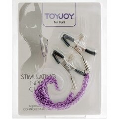 Зажимы для сосков ToyJoy Stimulating Nipple Chain. цена и информация | БДСМ и фетиш | kaup24.ee