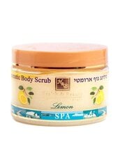 Kehakoorija soolaga Health & Beauty Sidrun, 450 g цена и информация | Скрабы для тела | kaup24.ee