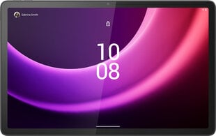 Lenovo Tab P11 (2nd Gen) 4G 6/128 ГБ ZABG0025SE, Storm Grey цена и информация | для планшетов | kaup24.ee