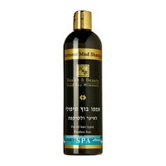 Šampoon Surnumere mudaga Health & Beauty, 400 ml hind ja info | Šampoonid | kaup24.ee