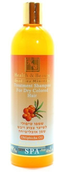 Šampoon värvitud ja kuivadele juustele Health & Beauty 400 ml цена и информация | Šampoonid | kaup24.ee
