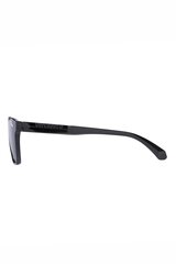 Солнечные очки SUPERDRY SDS5003104 цена и информация | Солнцезащитные очки для мужчин | kaup24.ee