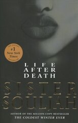 Life After Death: A Novel hind ja info | Fantaasia, müstika | kaup24.ee