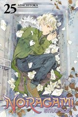 Noragami: Stray God 25 цена и информация | Фантастика, фэнтези | kaup24.ee