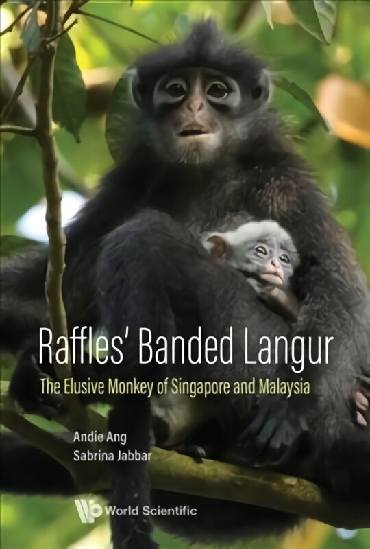 Raffles' Banded Langur: The Elusive Monkey Of Singapore And Malaysia hind ja info | Entsüklopeediad, teatmeteosed | kaup24.ee