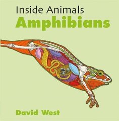 Inside Animals: Amphibians цена и информация | Книги для подростков и молодежи | kaup24.ee