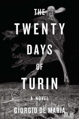 Twenty Days of Turin: A Novel цена и информация | Фантастика, фэнтези | kaup24.ee