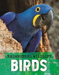 Endangered Wildlife: Rescuing Birds цена и информация | Книги для подростков и молодежи | kaup24.ee