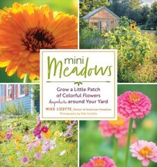 Mini Meadows: Grow a Little Patch of Colorful Flowers Anywhere around Your Yard: Grow a Little Patch of Colorful Flowers Anywhere around Your Yard hind ja info | Aiandusraamatud | kaup24.ee