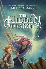 Hidden Dragon цена и информация | Книги для подростков и молодежи | kaup24.ee