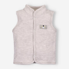 Poiste vest цена и информация | Кофточки, джемперы, пиджаки для младенцев | kaup24.ee