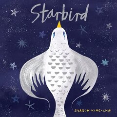 Starbird цена и информация | Книги для малышей | kaup24.ee