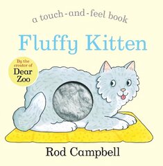 Fluffy Kitten hind ja info | Väikelaste raamatud | kaup24.ee