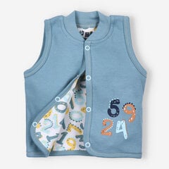 Beebipoisi vest цена и информация | Кофточки, джемперы, пиджаки для младенцев | kaup24.ee