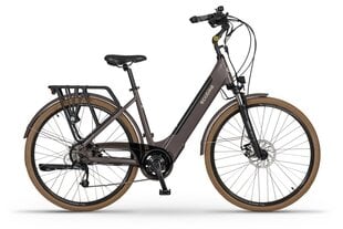 Elektrijalgratas Ecobike X-City 13 Ah Greenway, Coffee цена и информация | Электровелосипеды | kaup24.ee
