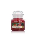 Lõhnastatud küünal Yankee Candle Troopilised puuviljad (104 g)