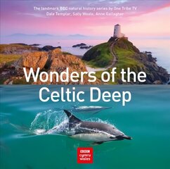 Wonders of the Celtic Deep hind ja info | Reisiraamatud, reisijuhid | kaup24.ee