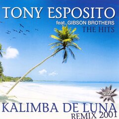 CD - Tony Esposito Feat. Gibson Brothers - The Hits цена и информация | Виниловые пластинки, CD, DVD | kaup24.ee