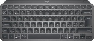 Logitech MX Keys Mini Business hind ja info | Klaviatuurid | kaup24.ee