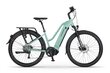 Elektrijalgratas Ecobike LX 500 14,5 Ah Greenway, roheline hind ja info | Elektrirattad | kaup24.ee