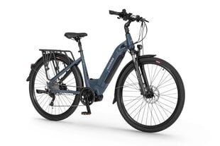 Электрический велосипед Ecobike D1 Trekking 14 Aч LG, синий цвет цена и информация | Электровелосипеды | kaup24.ee