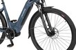 Elektrijalgratas Ecobike D1 Trekking 14 Ah LG, sinine hind ja info | Elektrirattad | kaup24.ee