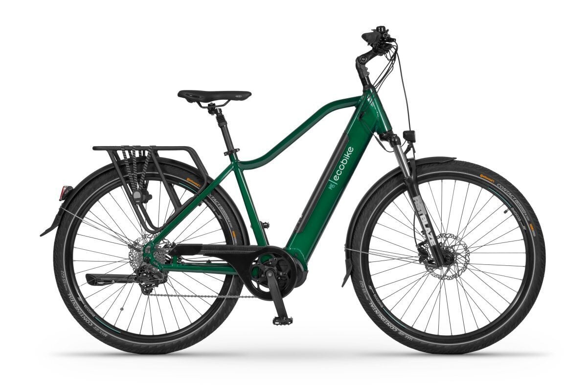 Elektrijalgratas Ecobike MX 300 14 Ah LG, roheline цена и информация | Elektrirattad | kaup24.ee