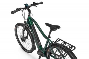 Электрический велосипед Ecobike MX 300 14 Aч LG, зеленый цвет цена и информация | Электровелосипеды | kaup24.ee