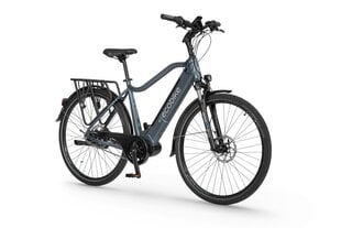 Elektrijalgratas Ecobike MX 23" 11,6 Ah Greenway, sinine цена и информация | Электровелосипеды | kaup24.ee