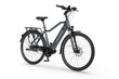 Elektrijalgratas Ecobike MX 23" 11,6 Ah Greenway, sinine цена и информация | Elektrirattad | kaup24.ee