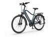 Elektrijalgratas Ecobike MX 23" 11,6 Ah Greenway, sinine hind ja info | Elektrirattad | kaup24.ee