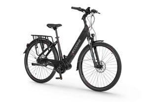 Elektrijalgratas Ecobike LX 21" 14 Ah ah LG, must цена и информация | Электровелосипеды | kaup24.ee