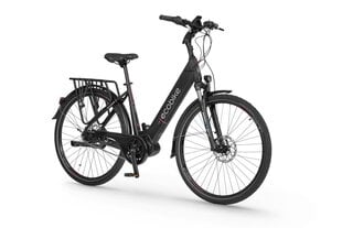 Elektrijalgratas Ecobike LX 21" 11,6 Ah Greenway, must цена и информация | Электровелосипеды | kaup24.ee