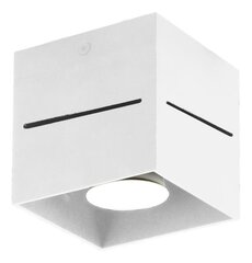 Lampex подвесная лампа Quado PRO 1 цена и информация | Потолочные светильники | kaup24.ee