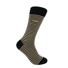 Мужские классические носки Bisoks 12326 бежевые цена и информация | Meeste sokid | kaup24.ee