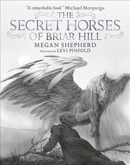 Secret Horses of Briar Hill hind ja info | Noortekirjandus | kaup24.ee