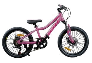 Детский велосипед, Gust Frizzy 20cll розовый цена и информация | Велосипеды | kaup24.ee