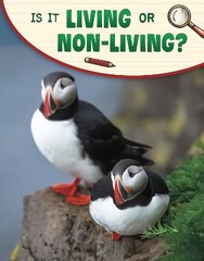 Is It Living or Non-living? цена и информация | Книги для подростков и молодежи | kaup24.ee