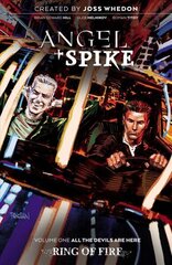 Angel & Spike Volume 1 цена и информация | Фантастика, фэнтези | kaup24.ee