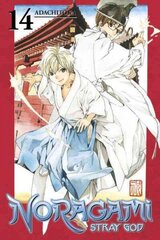 Noragami Volume 14, Volume 14 hind ja info | Koomiksid | kaup24.ee