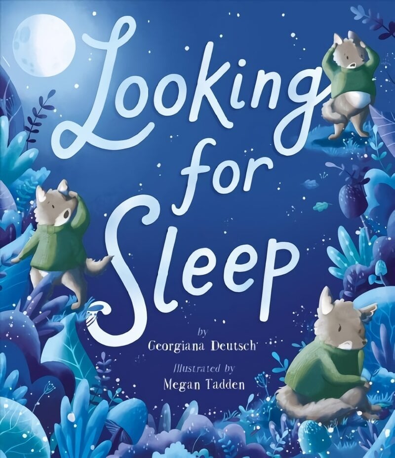 Looking for Sleep hind ja info | Väikelaste raamatud | kaup24.ee