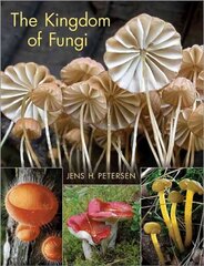 Kingdom of Fungi цена и информация | Энциклопедии, справочники | kaup24.ee