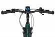 Elektrijalgratas Ecobike MX 300 11,6 Ah Greenway, roheline цена и информация | Elektrirattad | kaup24.ee