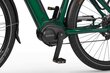 Elektrijalgratas Ecobike MX 300 11,6 Ah Greenway, roheline цена и информация | Elektrirattad | kaup24.ee