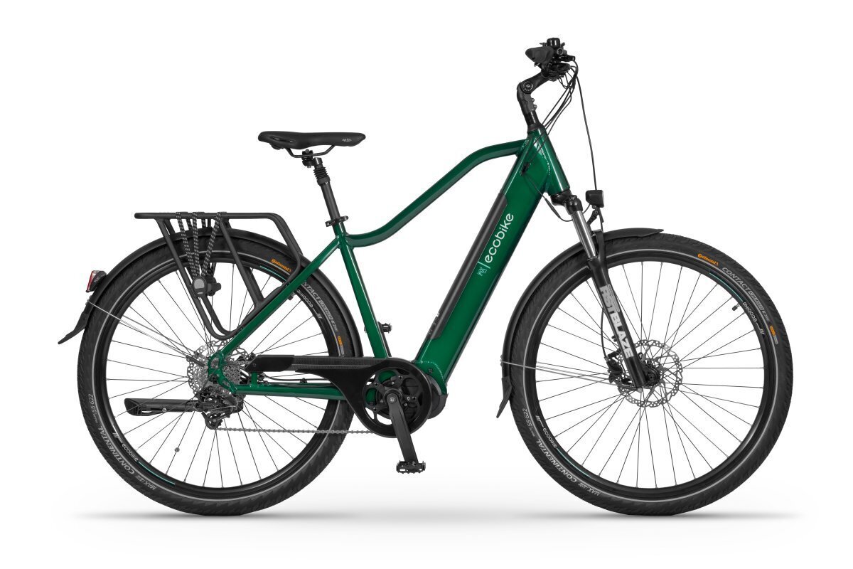 Elektrijalgratas Ecobike MX 300 11,6 Ah Greenway, roheline цена и информация | Elektrirattad | kaup24.ee