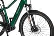Elektrijalgratas Ecobike MX 300 11,6 Ah Greenway, roheline hind ja info | Elektrirattad | kaup24.ee