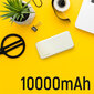 Wozinsky WPBWE1 10000mAh hind ja info | Akupangad | kaup24.ee